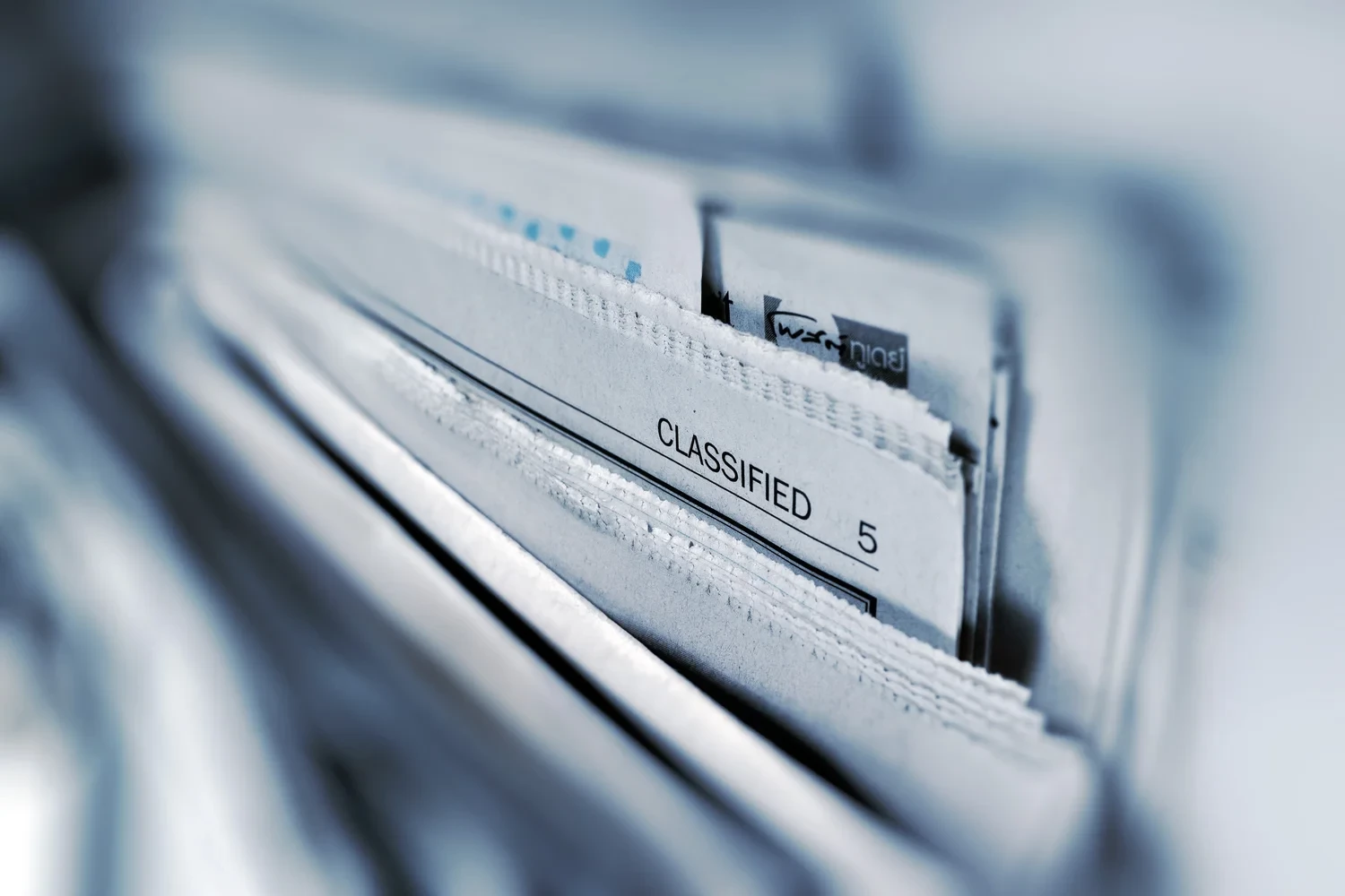 Avis.jpg